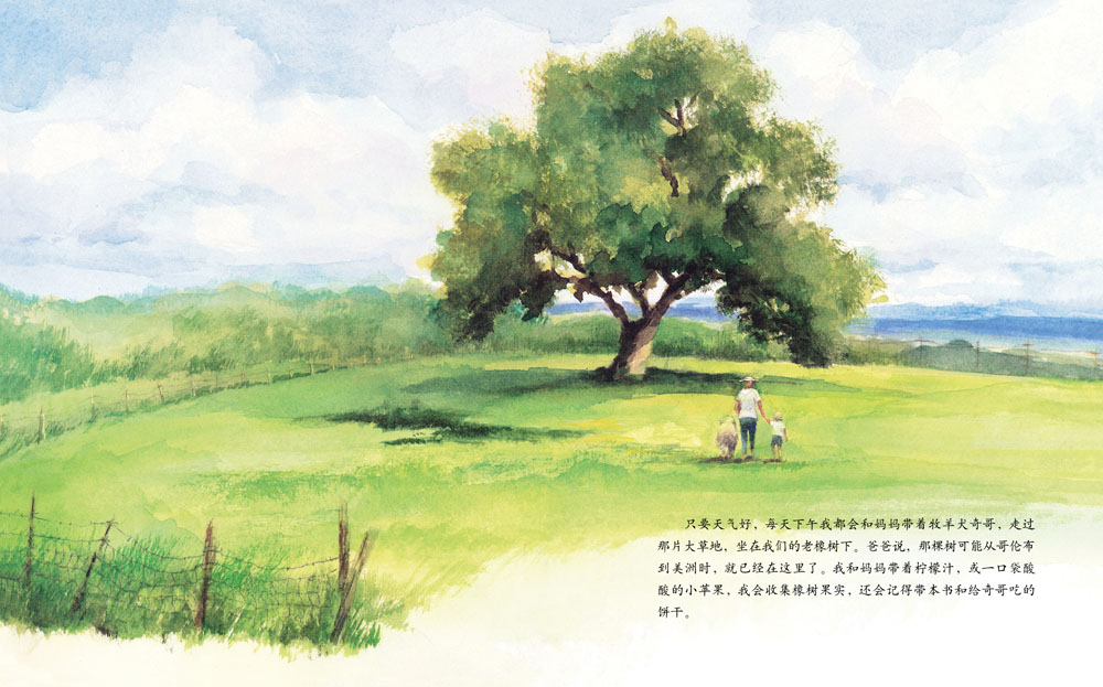艾莉丝的树 (04),绘本,绘本故事,绘本阅读,故事书,童书,图画书,课外阅读